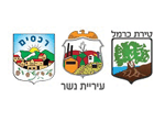 ועדה מקומית לתכנון ובניה מורדות הכרמל