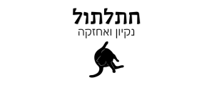חתלתול נקיון ואחזקה