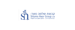 group shlomo naor ltd