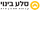 סלע בינוי והשקעות