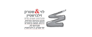 לוי שטרק זילברשטיין – מהנדסים יועצים בע"מ>
                                                            <p class=