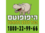 דרושים בהיפופוטם