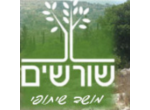 דרושים באגודת שורשים