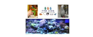 מכון אדר