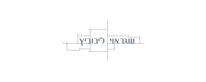 שגראוי ליבוביץ בניה