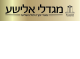 דרושים במגדלי אלישע