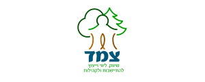צמד