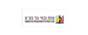 צוות נכסי גור בע"מ