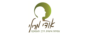 אודי מרילי - פתרונות תעסוקה יצירתיים