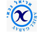 דרושים באריאל גבאי תשתיות בע"מ