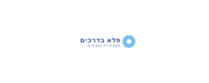 פלא בדרכים  בע"מ
