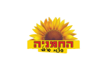 דרושים באמסלם גרעיני עפולה החמניה