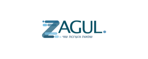 ZAGUL שמאות והערכות שווי