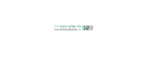 פייג שפיקר בנעיון, רואי חשבון