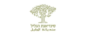 סינדיאנת הגליל>
                                                            <p class=