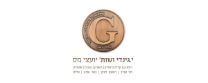 י.גינדי ושות'