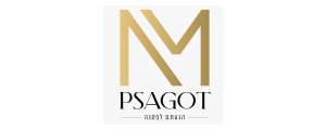 אן אן אם בילדינג חברה לבניין בע"מ