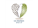דרושים בLev Haolam