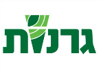 דרושים באמבר