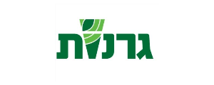 אמבר