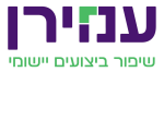 דרושים בעמירן - שיפור ביצועים יישומי