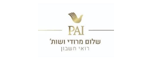 א.א.פ.א.י שירותים פיננסים בע"מ