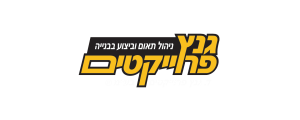 ד. גנץ פרויקטים בע״מ