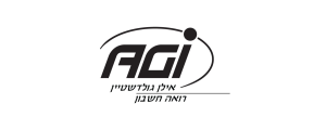 א.ג.י חשבונאות וייעוץ כלכלי בע"מ