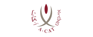 עמותת ניקאט>
                                                            <p class=