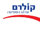 רם קול לשמיעה ודיבור בע"מ