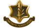 צה"ל