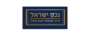 נכס ישראל פרוייקטים בע"מ>
                                                            <p class=