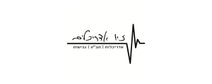 זיו אדריכלים>
                                                            <p class=