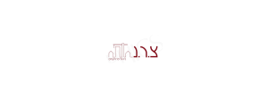 צ.ר.נ. ניהול פרויקטים ויזמות  בע"מ>
                                                            <p class=