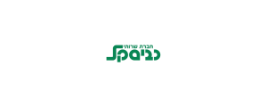 חברת שרותי כביסקל בע"מ