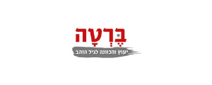 ברטה שמעוני בע"מ