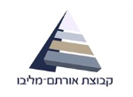 דרושים בקבוצת אורתם מליבו