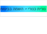 דרושים בנורית כנורי שרותי השמה בביטוח