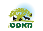 דרושים במאפט בע"מ