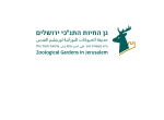 דרושים בגן החיות התנכי בירושלים על שם משפחת טיש בע"מ (חל"צ)