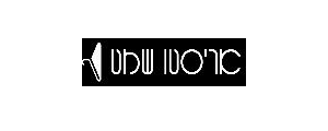 אריסטו שמט