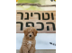 דרושים בוטרינר הכפר