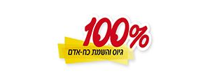 100% גיוס והשמת כח אדם>
                                                                <p class=