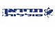 תדיראן סוללות