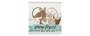 להתחיל מחדש
