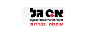 אס-גל - השקעות ושרותי רכב 1993 בע"מ