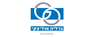 גדליה אוליצקי הנדסה בע"מ