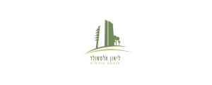 ליאון אלטשולר ניהול ופיקוח בהנדסה אזרחית>
                                                            <p class=