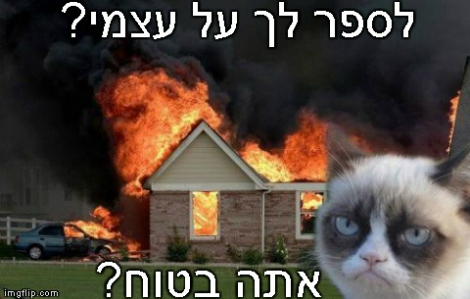 לענות על השאלה